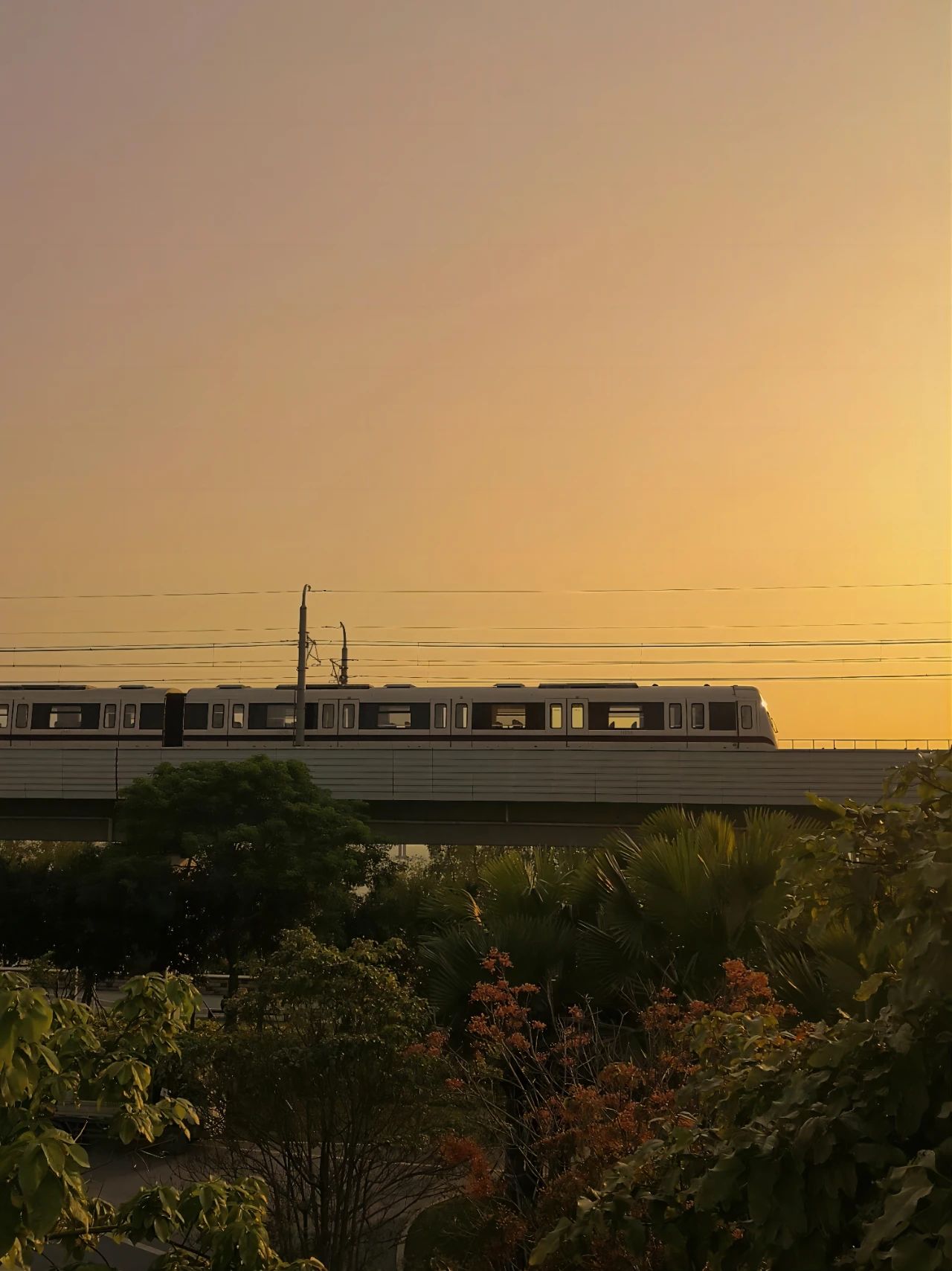 go to Xiban Mangrove to see the sunset on the sea.